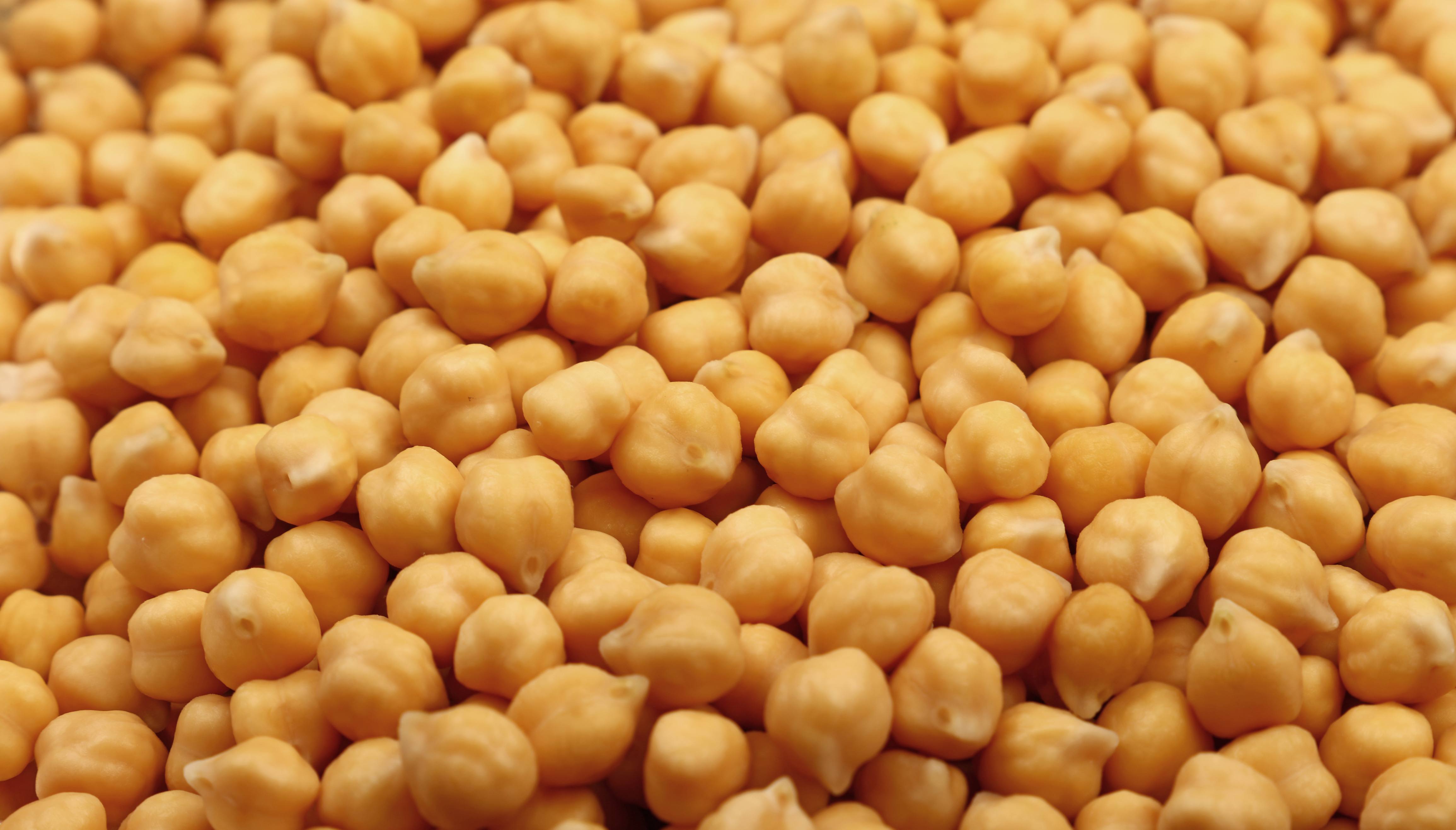 Garbanzo Beans