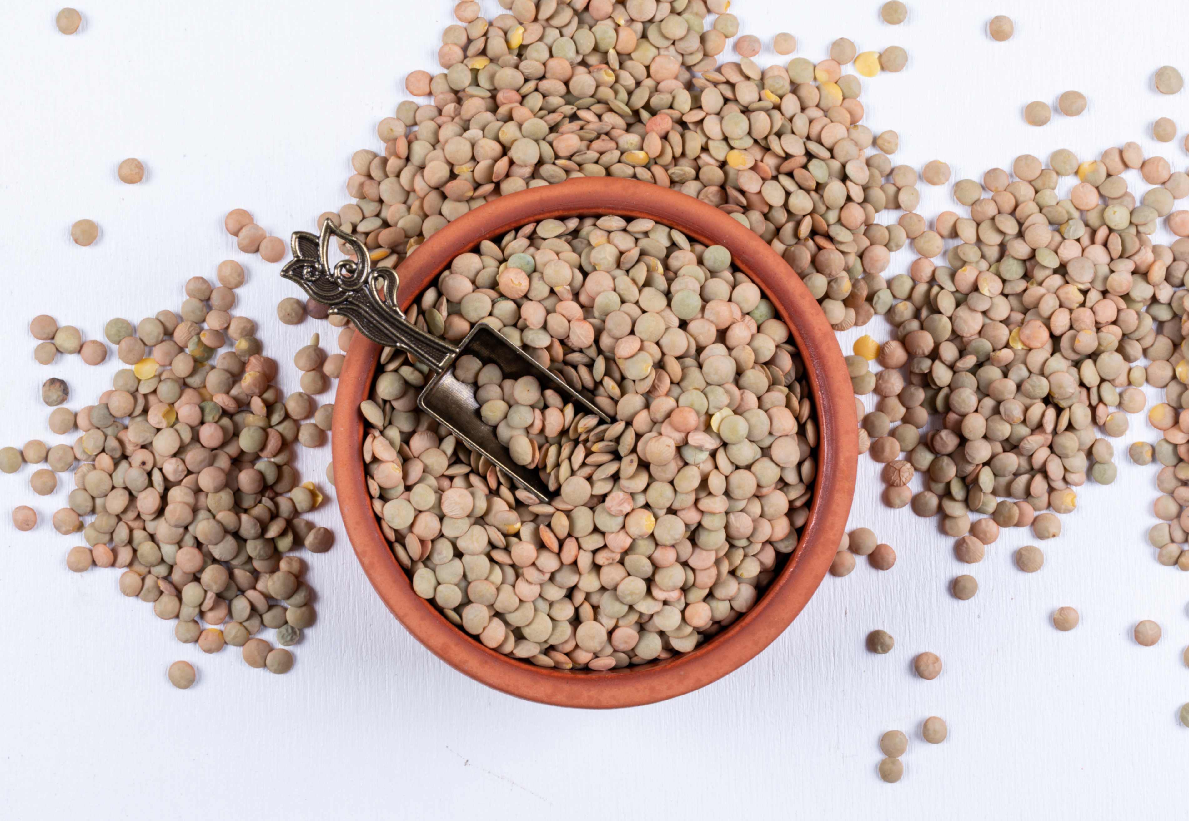 Pigeon Pea